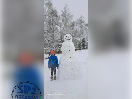 śnieżny bałwan w zimowej scenerii
