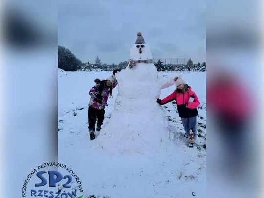 śnieżny bałwan w zimowej scenerii