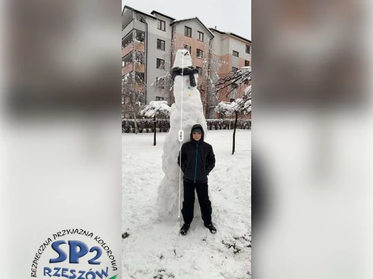 śnieżny bałwan w zimowej scenerii