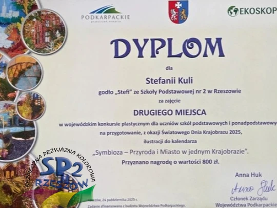 Dyplom uczennicy SP 2 Stefanii Kuli.