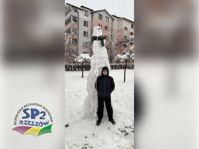 śnieżny bałwan w zimowej scenerii