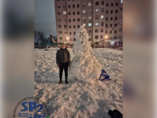 śnieżny bałwan w zimowej scenerii