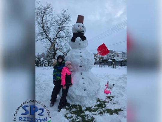 śnieżny bałwan w zimowej scenerii