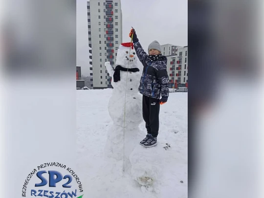 śnieżny bałwan w zimowej scenerii