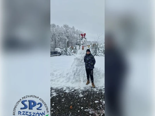 śnieżny bałwan w zimowej scenerii