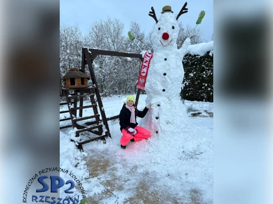 śnieżny bałwan w zimowej scenerii