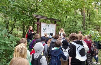 Uczniowie na ścieżce przyrodniczej zapoznają się z florą i fauną.